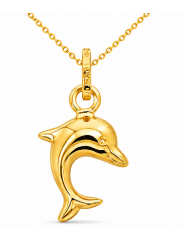 Pendentif Dauphin 750/1000 + Chaîne Offerte