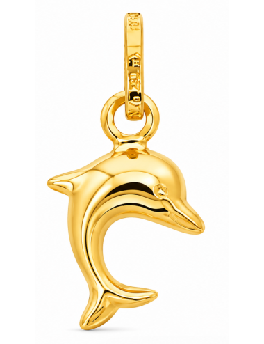 Pendentif Dauphin 750/1000 + Chaîne Offerte