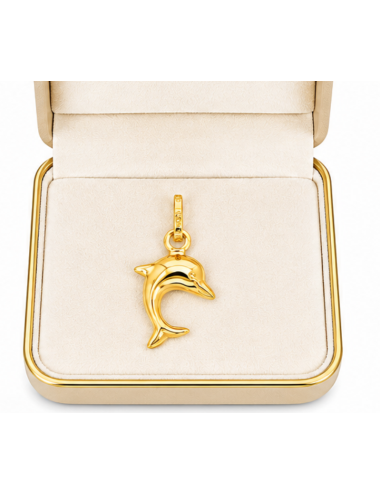 Pendentif Dauphin 750/1000 + Chaîne Offerte