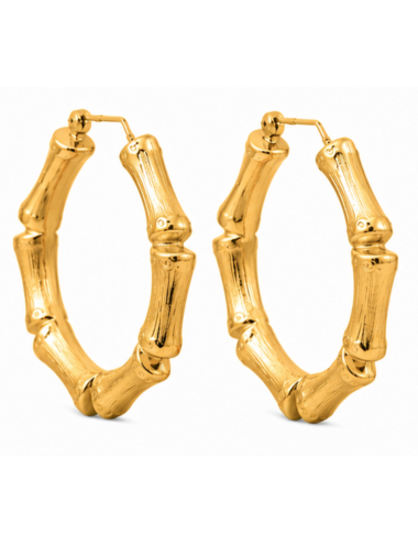 Boucles d'oreilles Bambou Or